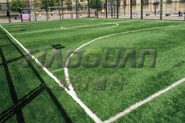 人造草坪DM-001 人造草坪DM-001